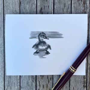 6 Pack Note Cards Duckling Blank